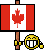 Canadian flag - cheesy grin