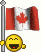 Canadian flag waver