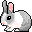 bunny3